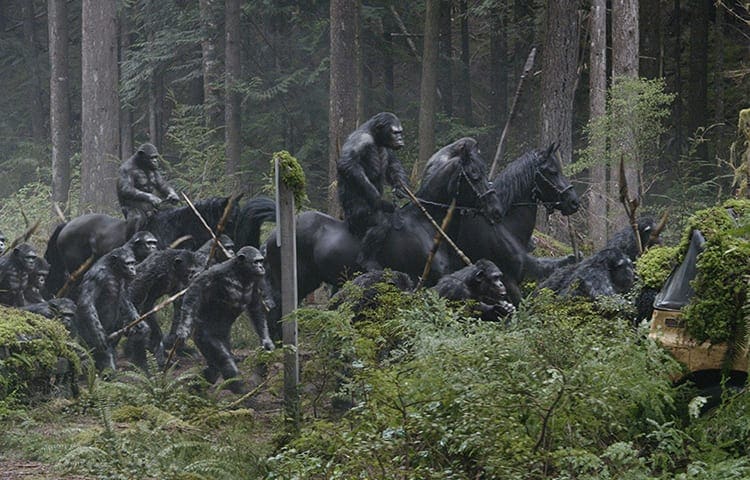 Úsvit planety opic / Dawn of the Planet of the Apes – recenze