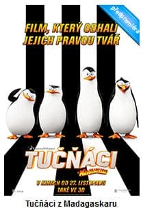 tucnaci_z_madagaskaru_cc
