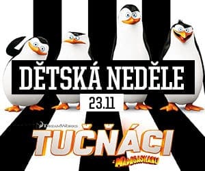 tucnaci_z_madagaskaru_cs