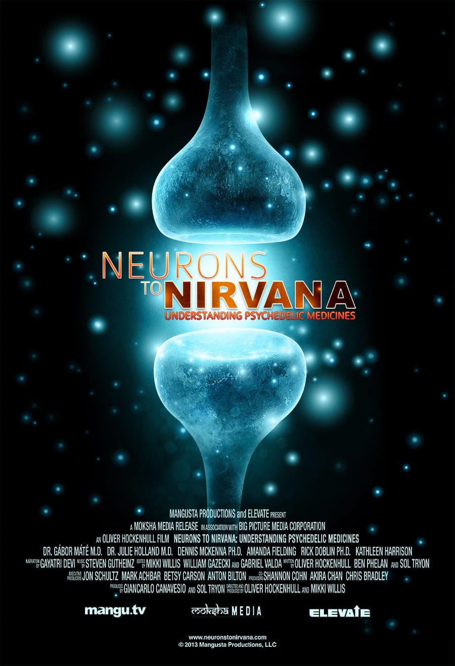 Od_neuronu_k_nirvane_poster
