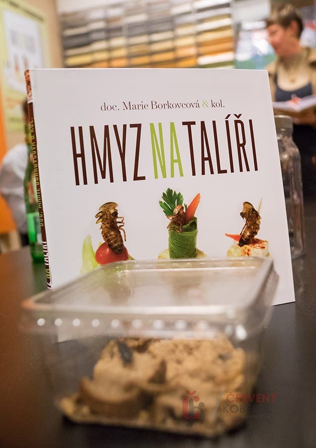 krest_hmyz_na_taliri_obr_14