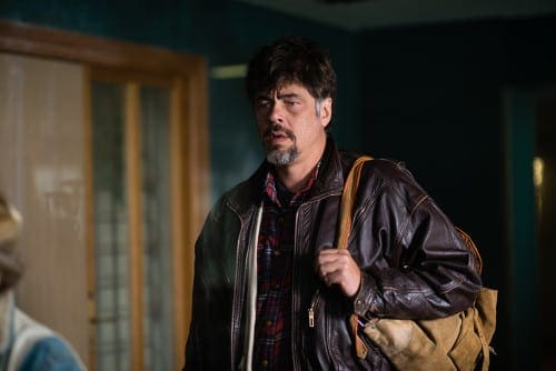 perfektni_den_2015_foto_14