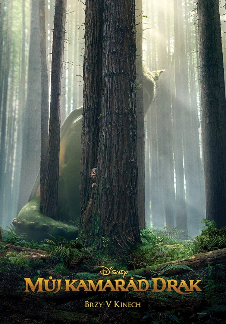 muj_kamarad_drak_2016_teaser_plakat