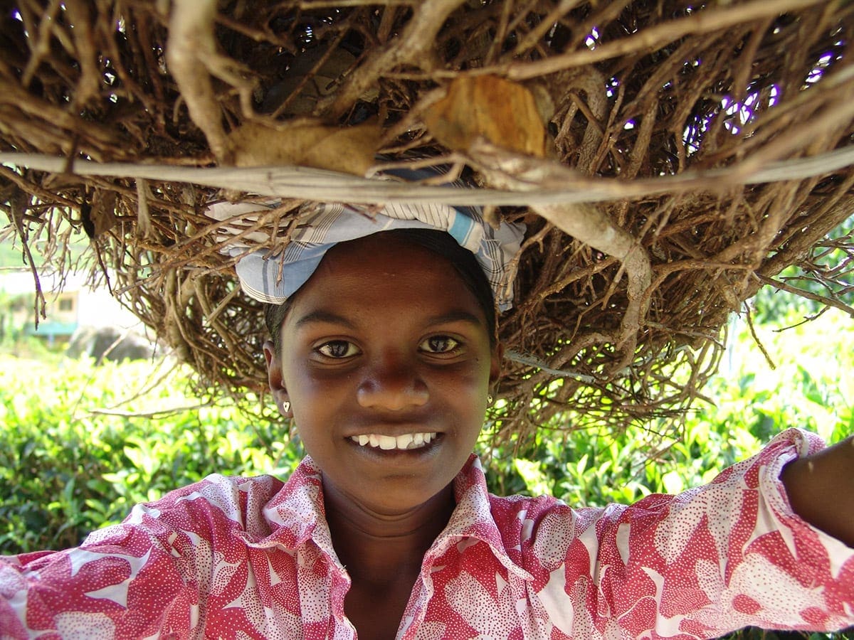 MFOF_2016_BESEDA_SRI_LANKA_KRACALIK