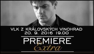 vlk_z_kralovskych_vinohrad_pc