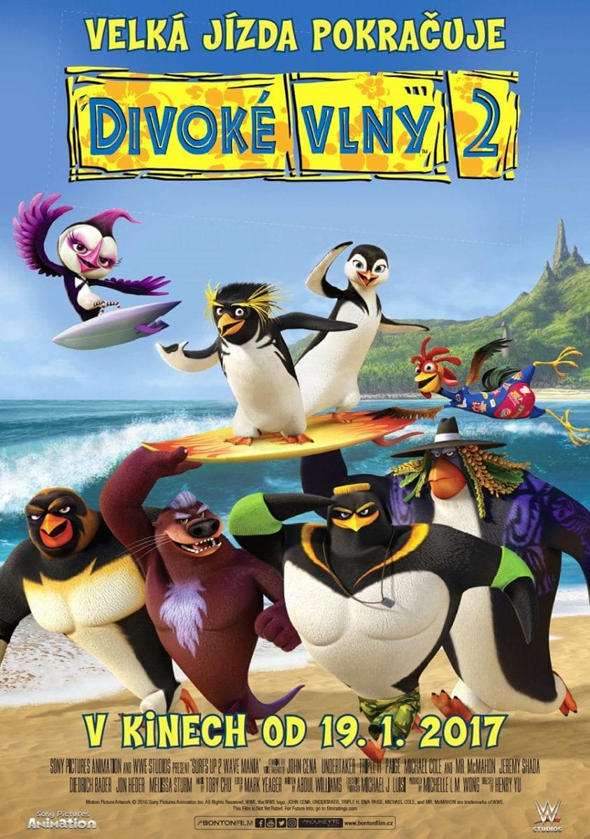 divoke_vlny_2_plakat