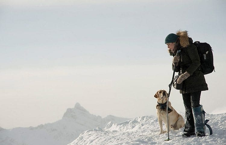 Recenze: Hora mezi námi / The Mountain Between Us