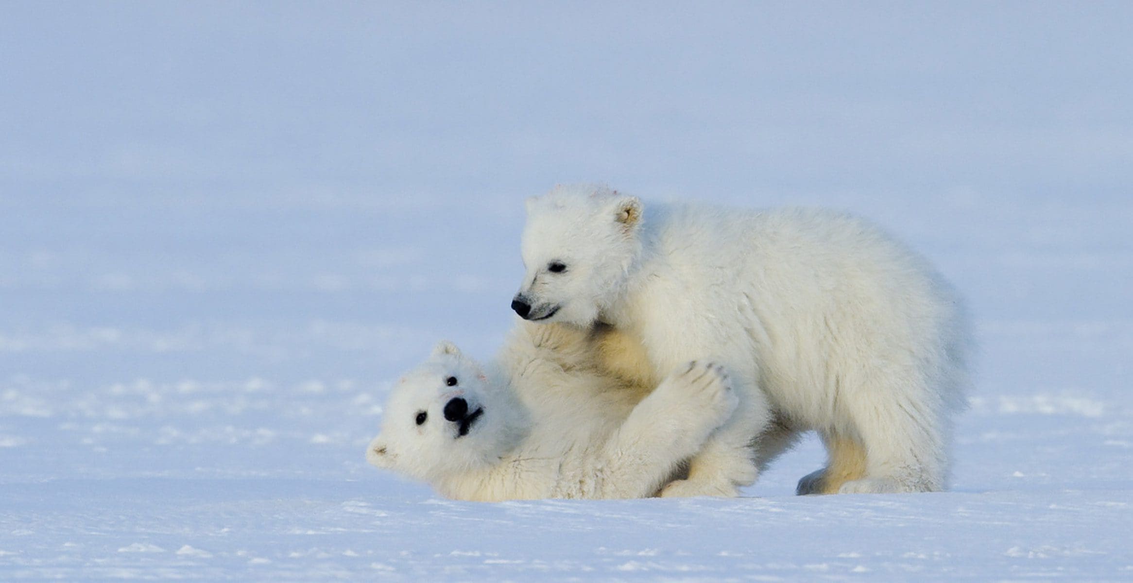 Královna mizející říše