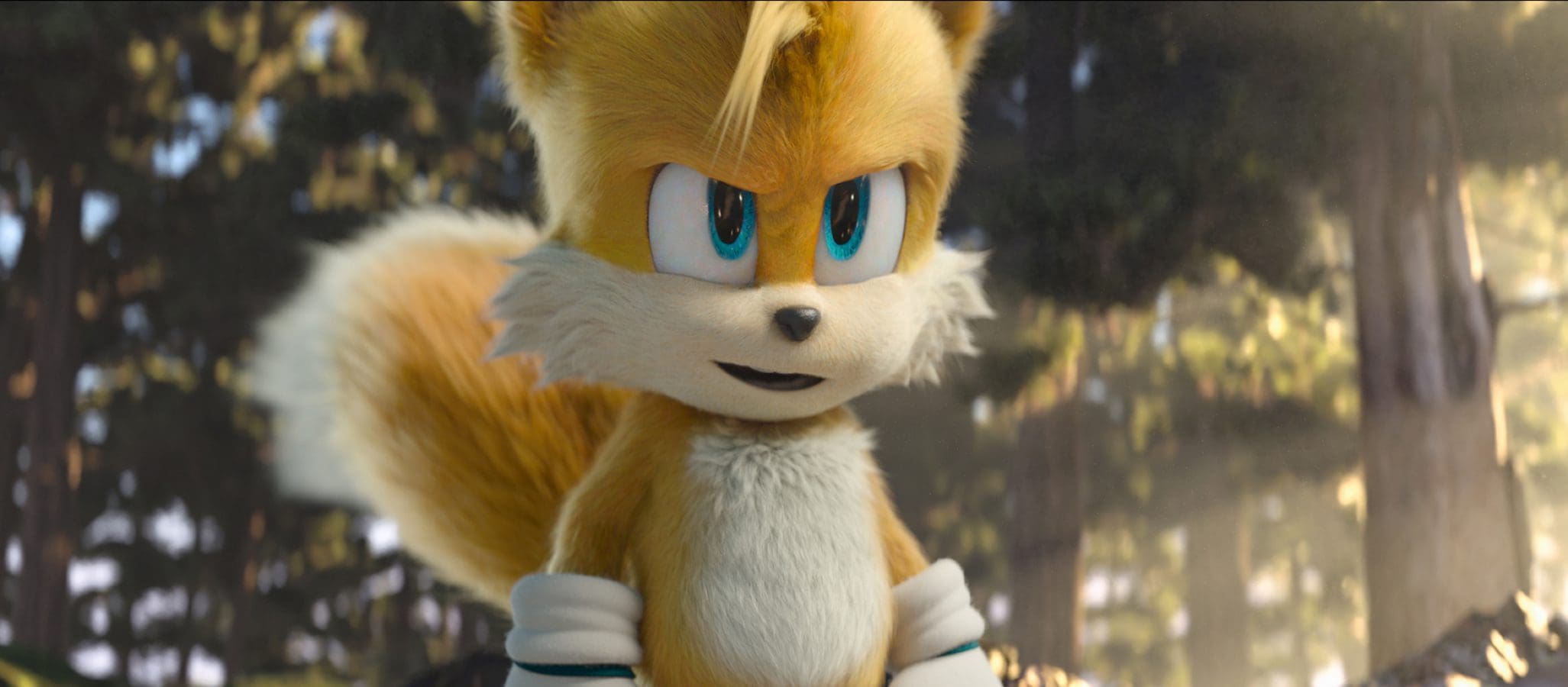 Ježek Sonic 2