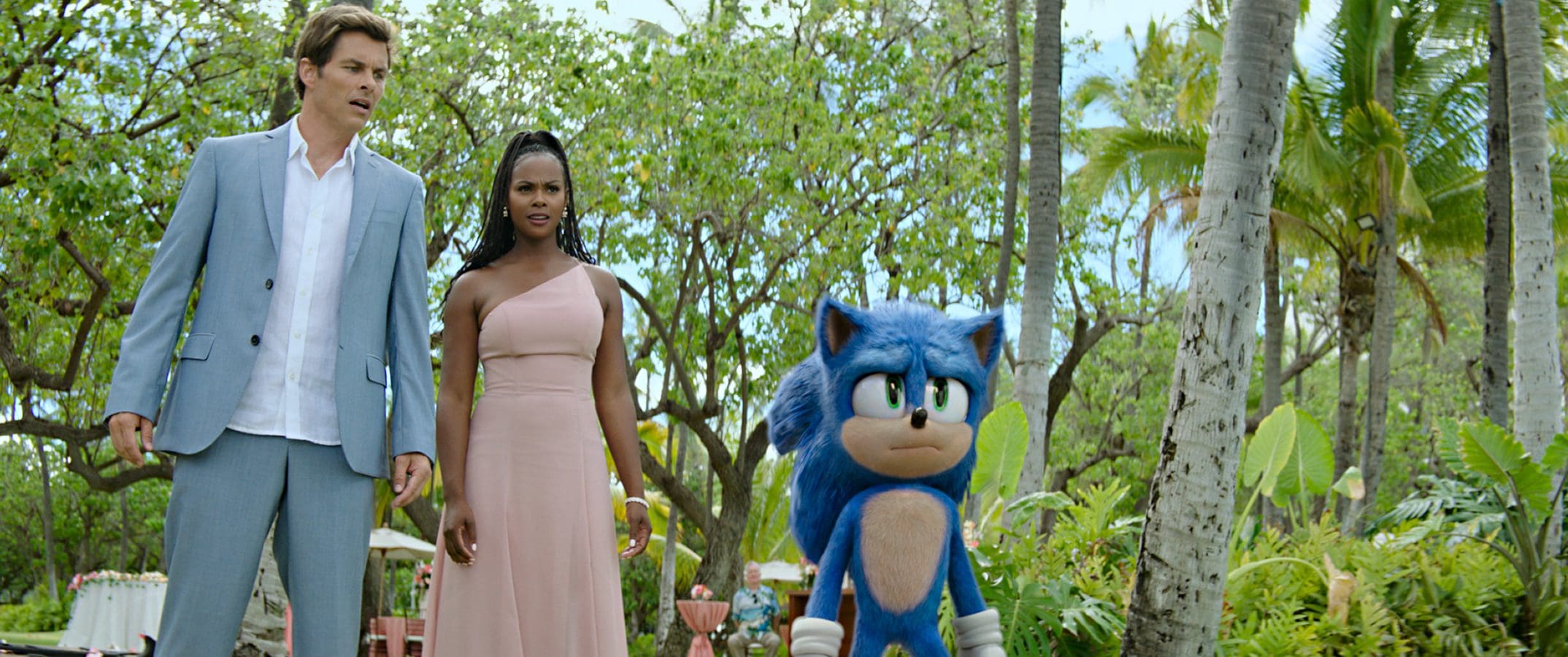 Ježek Sonic 2