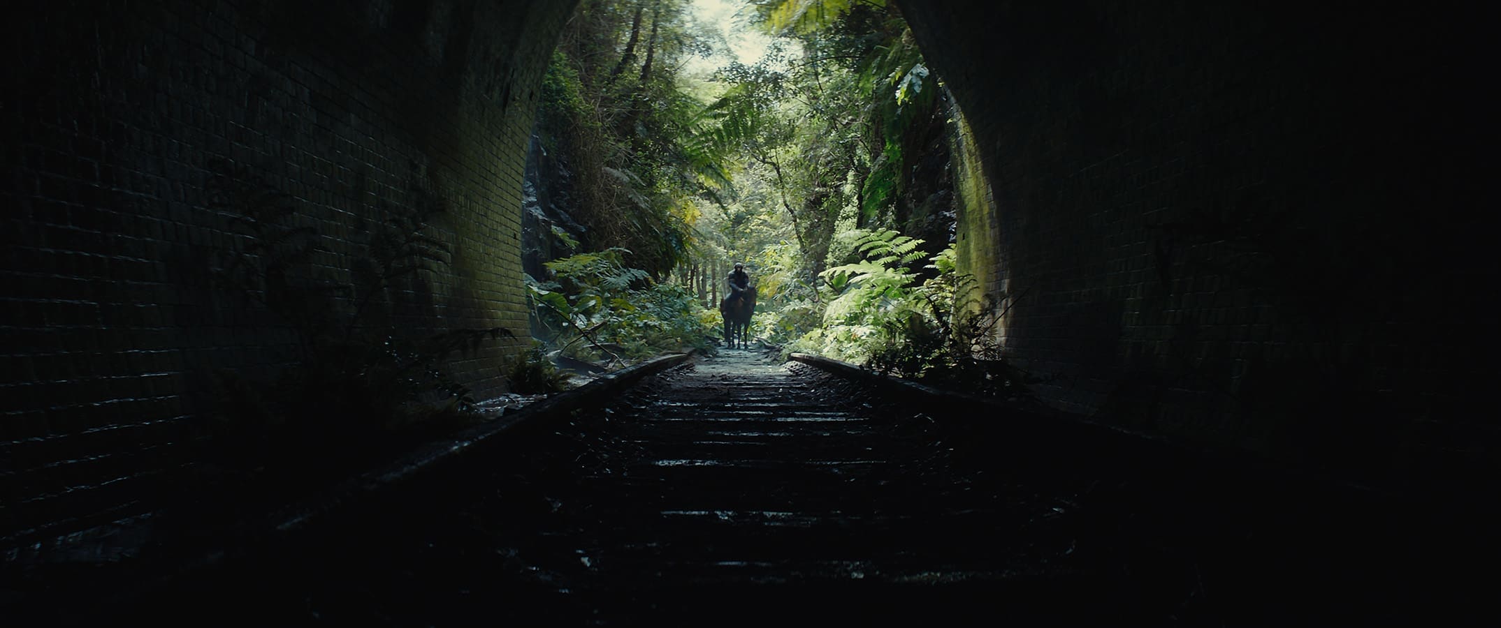 Království Planeta opic (2024)