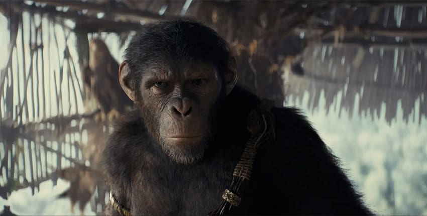Recenze: Království Planeta opic není perfektní, ale vzbudí zvědavost
