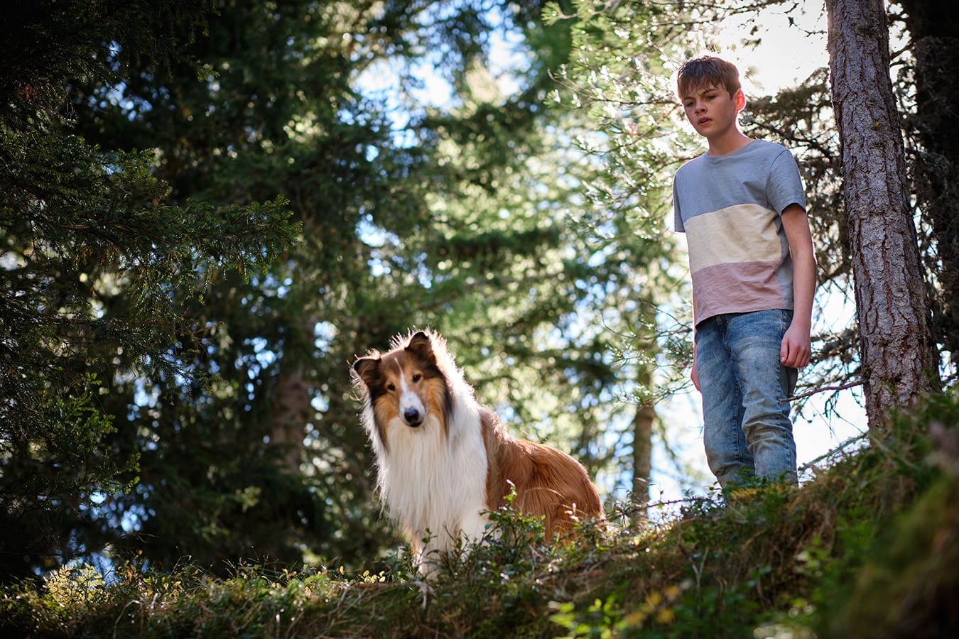 Lassie: Nové dobrodružství (2023)