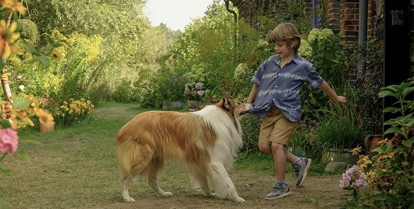 Recenze Lassie: Nové dobrodružství přináší klasický rodinný film, ale nabízí něco mladé generaci? 