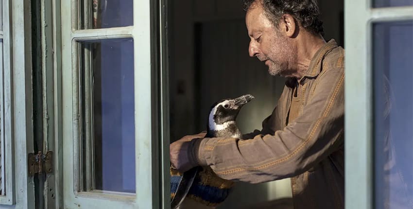 Recenze: Můj kamarád tučňák je okouzlující, hřejivý rodinný film o přátelství člověka a zvířete