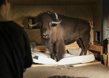 Trailer Woodwalkers: Caragova proměna s českým dabingem nás seznámí s třináctiletým klukem a jeho tajemstvím