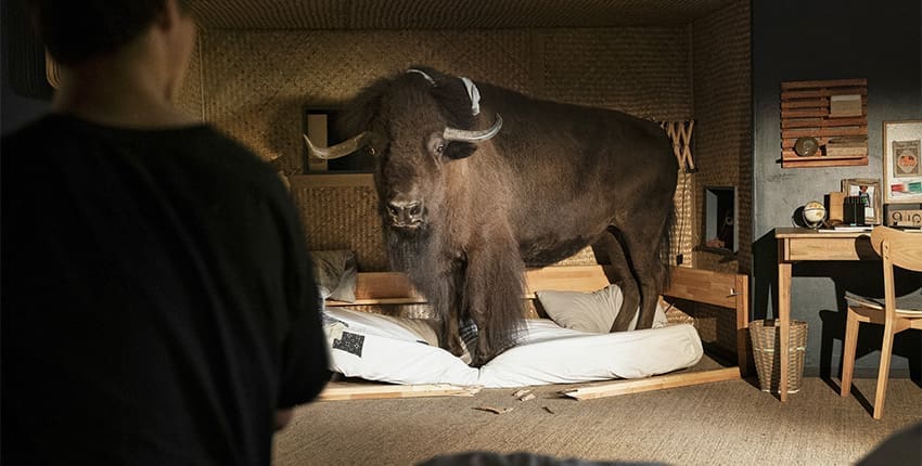 Trailer Woodwalkers: Caragova proměna s českým dabingem nás seznámí s třináctiletým klukem a jeho tajemstvím