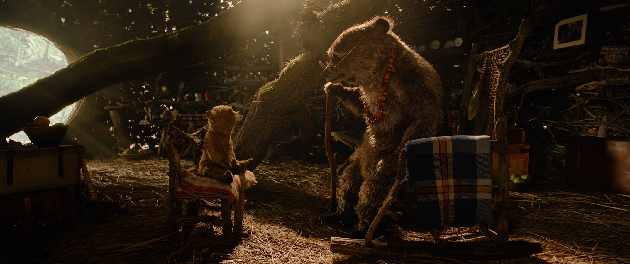 Paddington v džungli (2024)