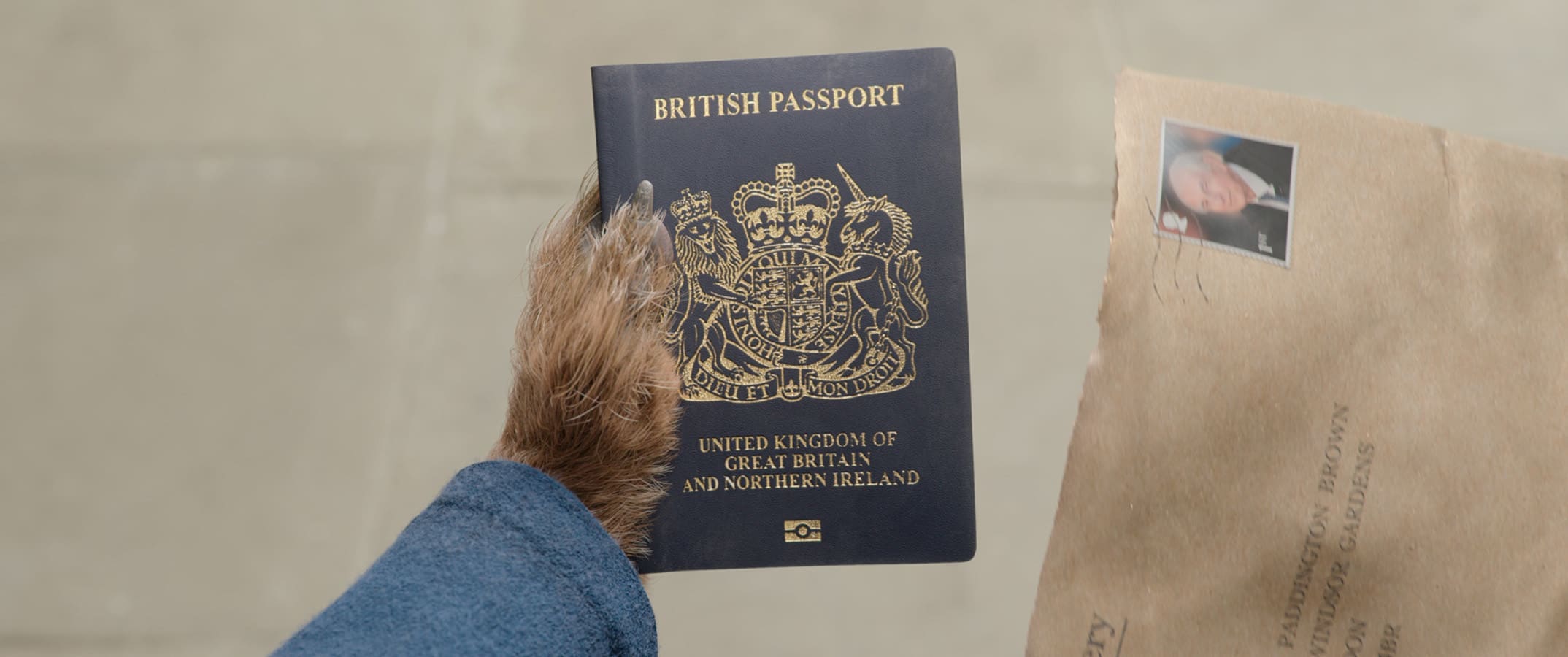 Paddington v džungli (2024)