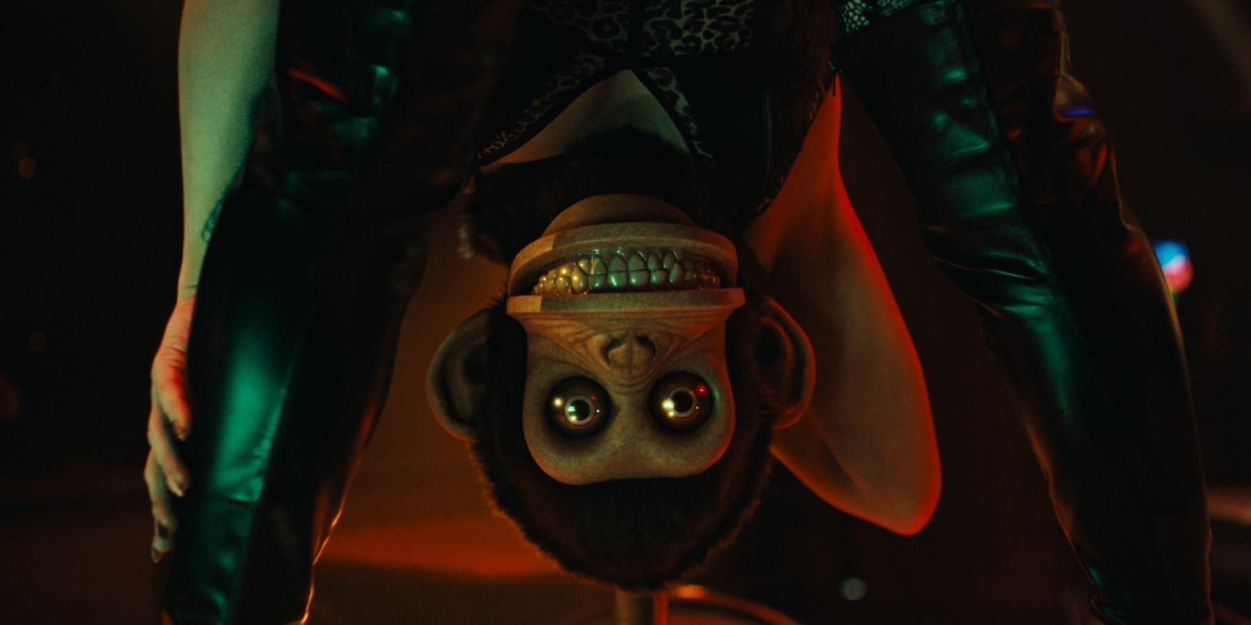 Opice (2025)