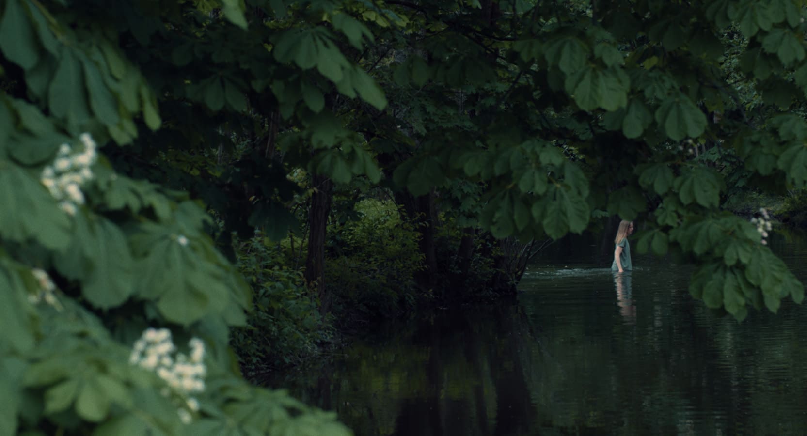 Nebelkind: Konec mlčení (2024)