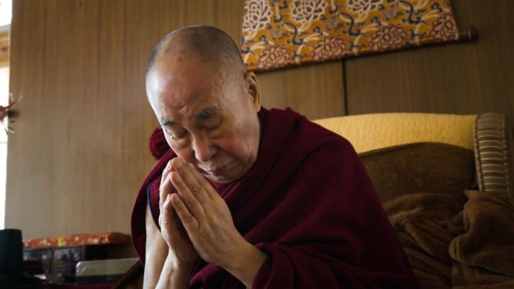 Moudrost štěstí (2024)