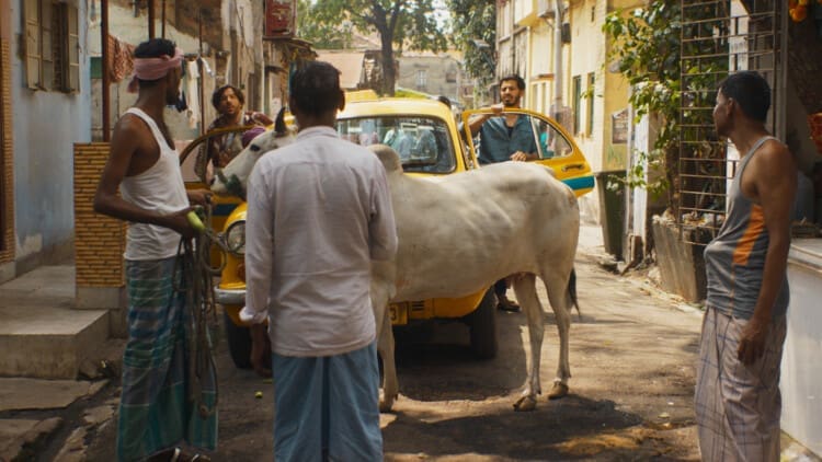 Lásko, neblázni! (2025)