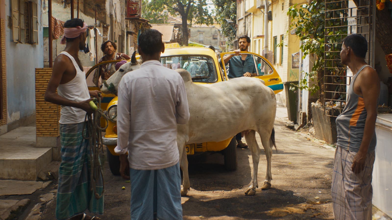 Lásko, neblázni! (2025)
