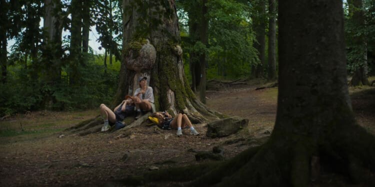 Na druhé straně léta (2025)