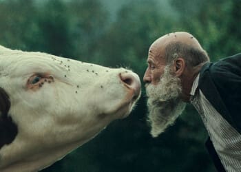 Raději zešílet v divočině (2025)