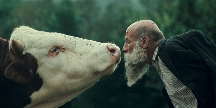 Raději zešílet v divočině (2025)