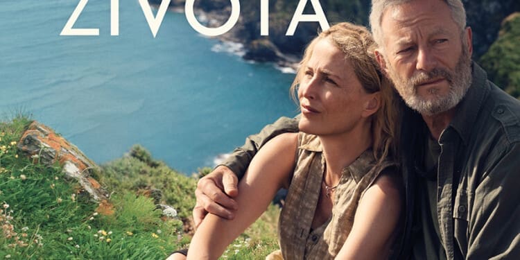 Stezka života (2024)