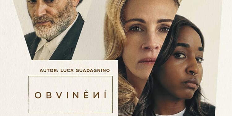 Obvinění (2025)