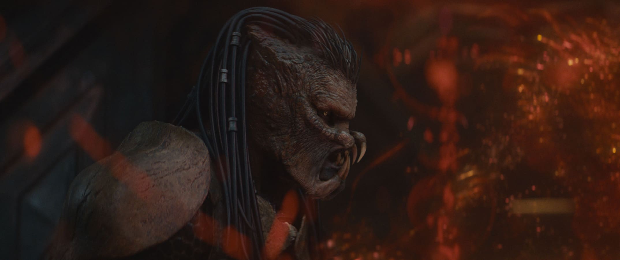 Predátor: Nebezpečné území (2025)