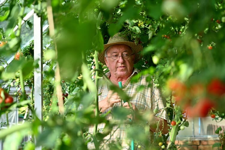 Neporazitelní (2025)