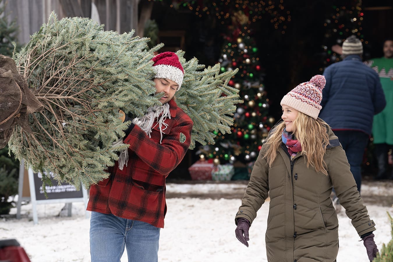 Ex pod stromek (2025)