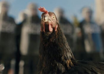 Recenze Slepice: Drůbeží epos, u kterého budete zobat režisérovi z ruky