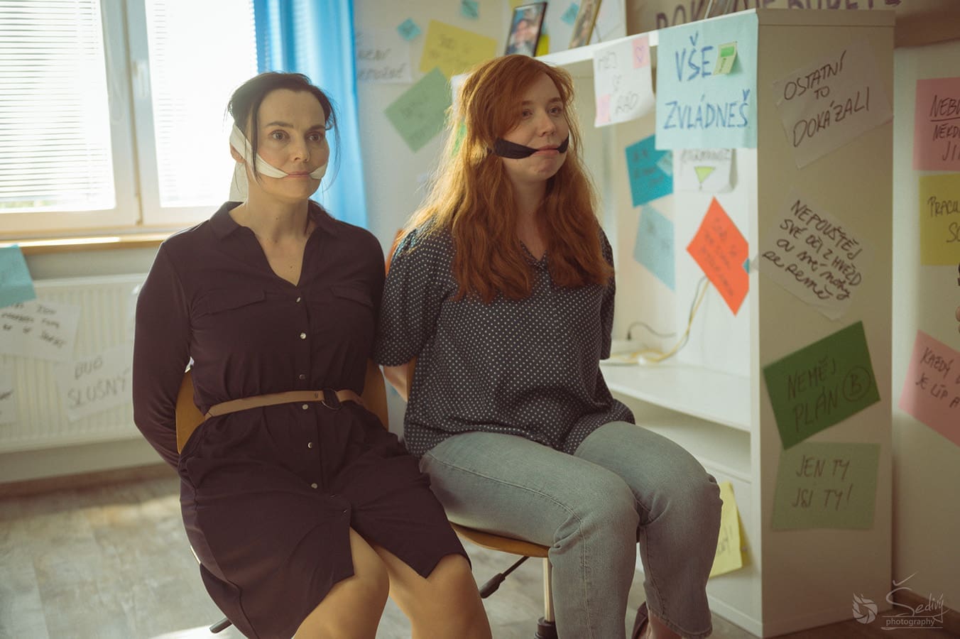 Ovce žerou první (2026)