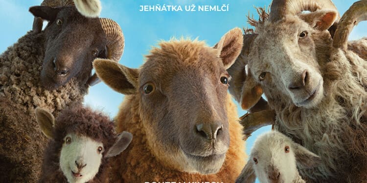 Béé team na stopě (2026)